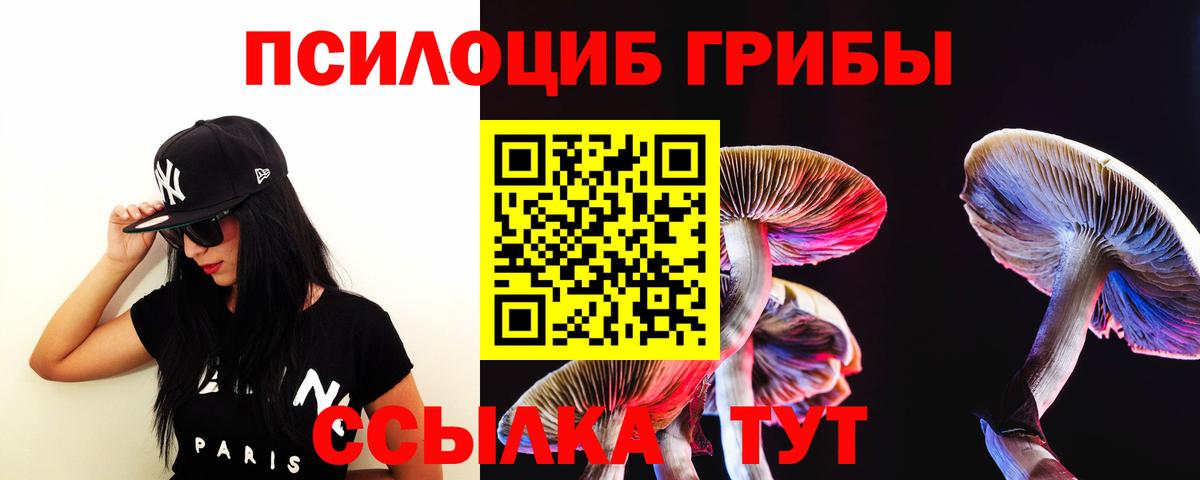 Галлюциногенные грибы прущие грибы  наркошоп  Елец  Вход с VPN  Псилоцибиновые грибы MAGIC MUSHROOMS 