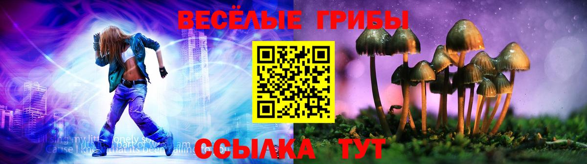 Псилоцибиновые грибы MAGIC MUSHROOMS Елец